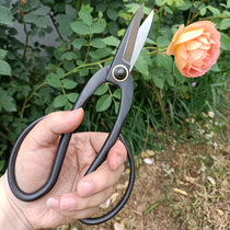 Household flower pruning scissors flower arrangement special scissors Japanese pruning shears foot long potted plants wide Bud scissors