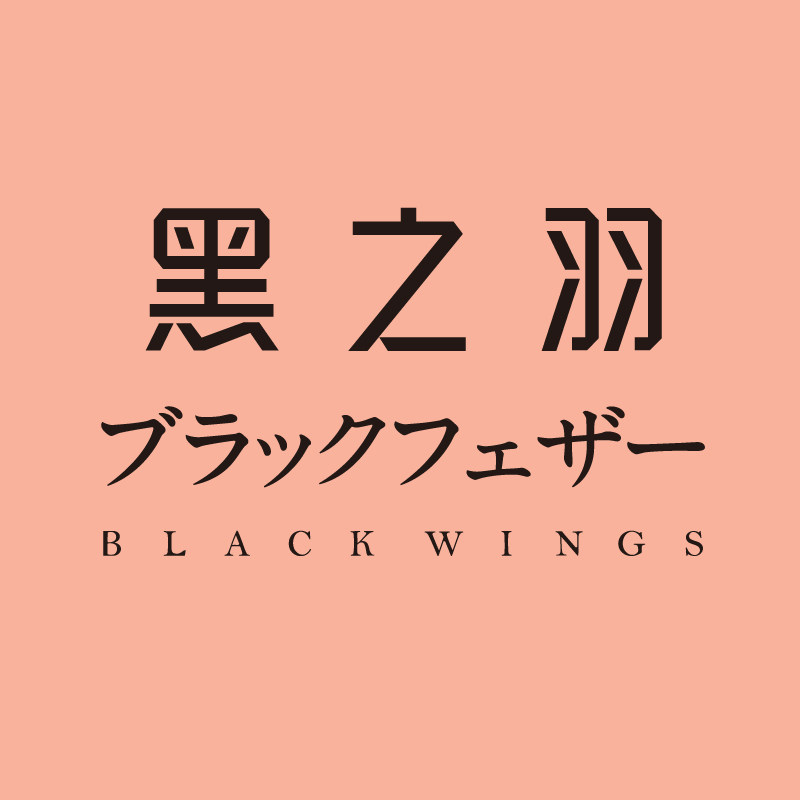 黑之羽出口外贸店
