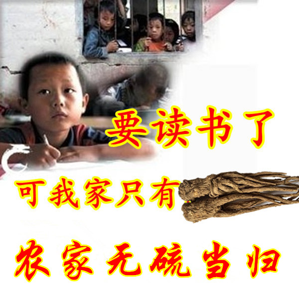 Gansu Minxian County angelica sulfur-free Chinese herbal medicine Whole body angelica angelica head Angelica tail Angelica body 250g