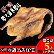 Bated duck Sichuan specialty authentic Nanjing Jiangxi dry Guangdong Annan Duck Farmhouse Homemade Hunan Smoked Roast Duck