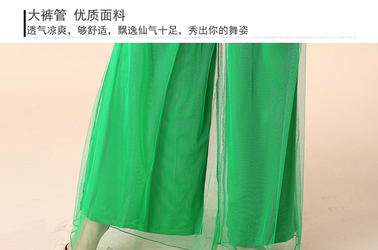 Trang phục khiêu vũ vuông mới mùa xuân và mùa hè quần ống rộng quần lưới nữ biểu diễn thực hành nhảy quần khiêu vũ - Khiêu vũ / Thể dục nhịp điệu / Thể dục dụng cụ váy nhảy dancesport