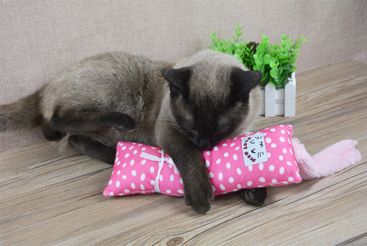 Pet mèo mèo gối catnip gối lớn đấu vật gối mèo mèo chó estrus vent đồ chơi đồ chơi cho mèo cào móng