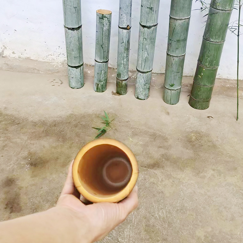 批发新鲜毛竹筒天然竹子原材料插花长竹筒盆栽大号竹筒竹流水空心-阿里巴巴