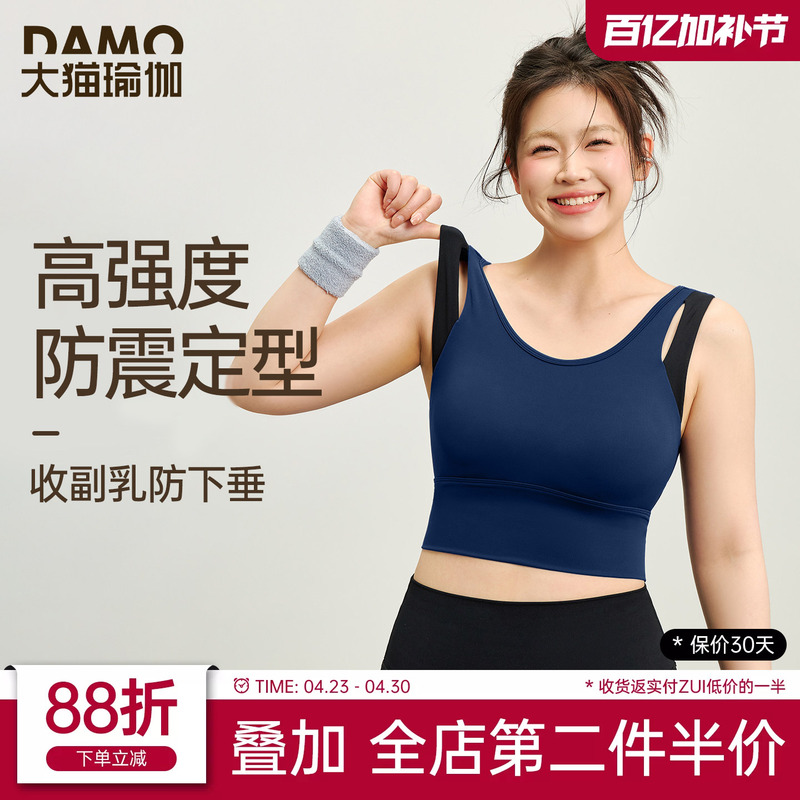 Plus Size Sports Bra for Women, High-Intensity Shock-Proof and Anti-Sagging Yoga Vest, Plus-Size Pilates Fitness Clothing Set