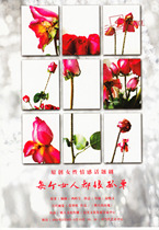 Leka commercial emotional topic drama Every woman is lonely rose postcard