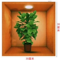 Зеленые наклейки сокровищ