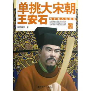 单挑大宋朝(王安石) 隋唐宋元金史 新华