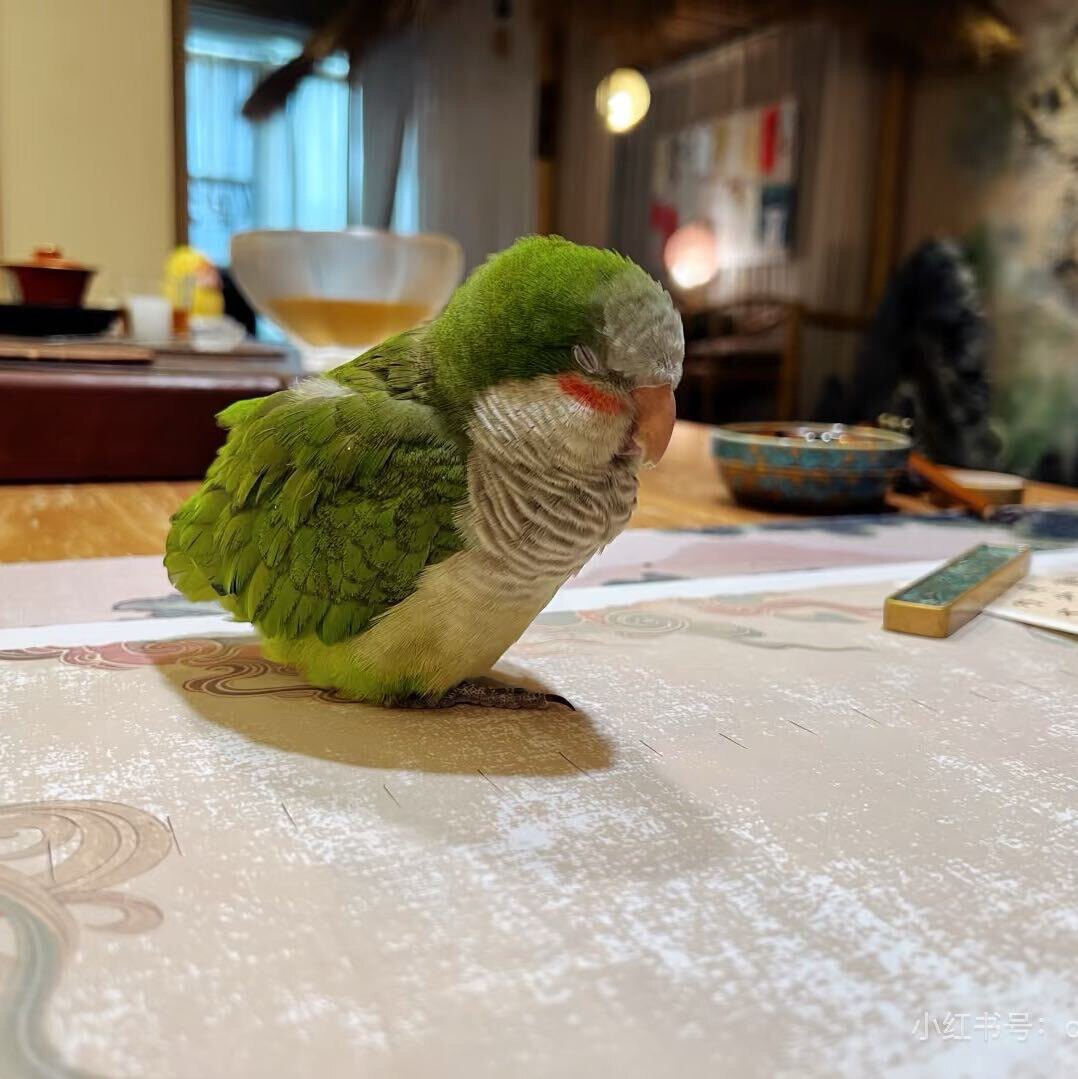 檀工紫砂工具