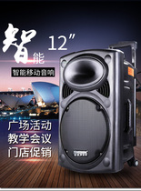 Temevoice DP297L upgraded version LA-012 outdoor square dance sound 12 inch charging mobile tie bar speaker