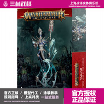 Sanlin War Chess-Warhammer Aos Lord of Death Nagash Nagash Lao Na