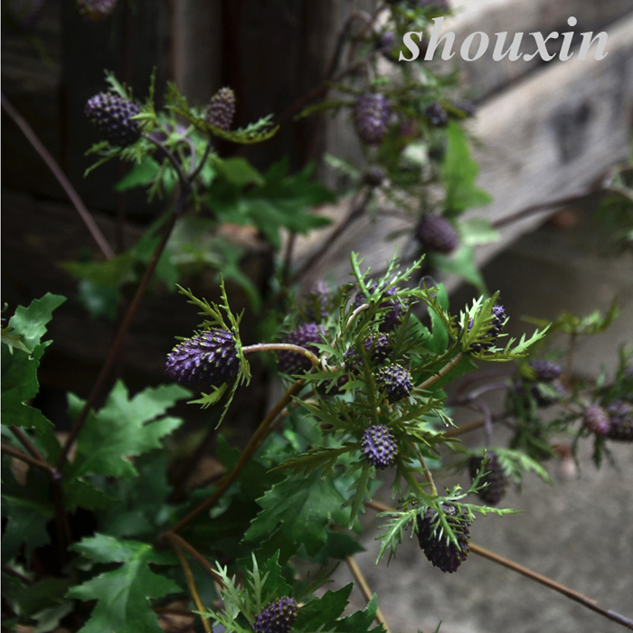 Living Room Ins Table High Simulation Mulberry Fruit Branches Berries Fruit Small Wild Berry Fields Garden Fruit Family Residence Decoration Shooting Props