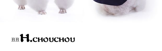 Mùa xuân xấu xí chouchou ăn mặc giản dị Snoopy chạm đáy áo thú cưng quần áo chó quần áo Teddy - Quần áo & phụ kiện thú cưng mũ bảo hiểm cho mèo
