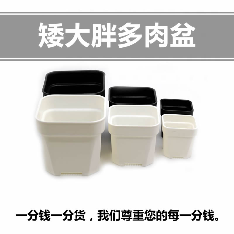 Multi Meat Plastic Thickened Frosted Black White Square Basin Raw Stone Flowers Sedum Ball Day Style Brief Black Square