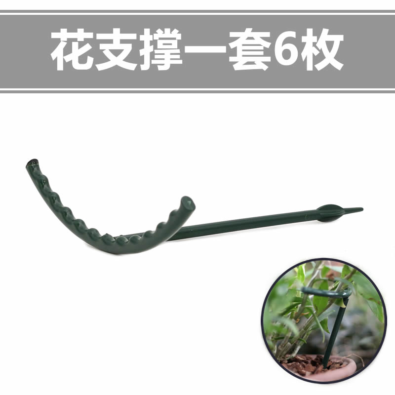 Dendrobium candidum orchid rose lodging prevention home gardening ventilation beautiful disease prevention crab claw orchid