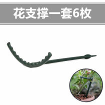 Flower support rod frame Dendrobium orchid monthly anti-lodging home gardening ventilation beautiful anti-disease crab claw orchid