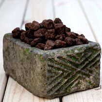 Xiantu Mount Emei authentic orchid Bonsai fish tank Aquatic plants succulents special ink orchid National orchid