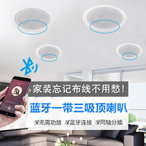Wireless Bluetooth Summer Sound Background Music Heavy Bass Hornet Mobile Phone Remote Controlled USB Small Ceiling Speaker