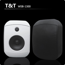 American TT advanced dual crossover 60W constant resistance steerable HIFI wall-mounted speaker Exquisite and compact background music