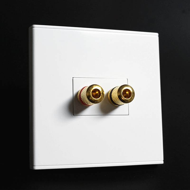 Hauhua type Watanking Two sound wiring wall Horn Wire Socket 2 Holes Speaker panel Wall plug