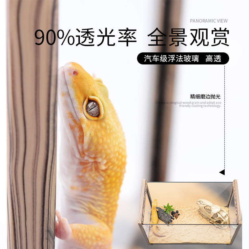 Patron gecko rearing cylinder wood grain rainforest cylinder-built and surface-cylinder horned frog spider rainforest scorpion rearing glass case