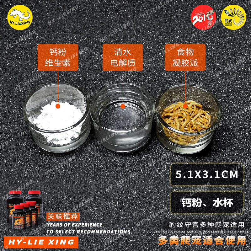 Hunting small pet lizard suit kit calcium powder basin high quality transparent small glass