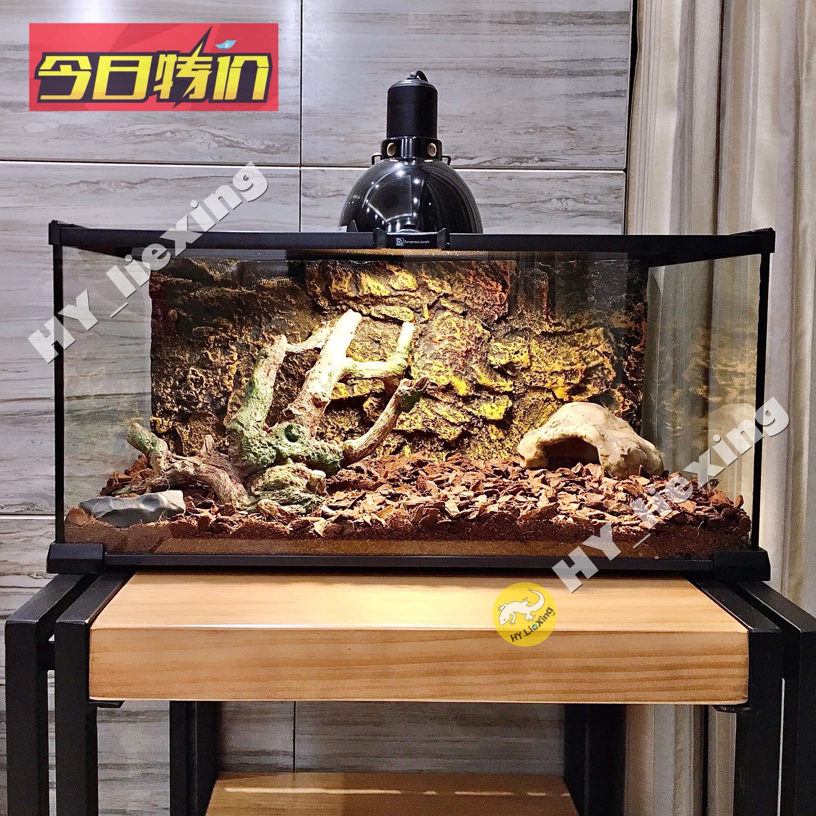 Hunting Reptiles DJ Glass Rearing Boxes Reptile Horns Frog Tortoise Lizard Lizard Snake BAO WEN Patron Mane Lion Turtle Rearing Box
