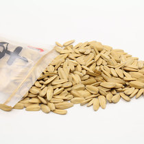 Dafeng ancient method melon seeds New Year goods roasted sea salt melon seeds sunflower seeds bagged food snack snacks 300g