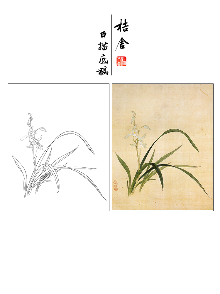 Work Stroke White Sketching Manuscript orchid Small items White paper Print Yu Zhizhen Qianqiu Lan 33 * 40 with colored pattern 278T