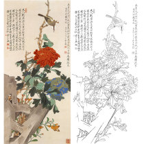 Meticulous painting white head drawing draft flower bird rich white head in non-dark hook line physical print size optional YF78