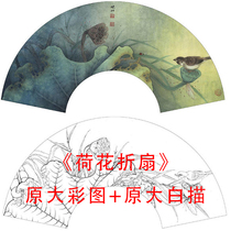 Meticulous painting line drawing bottom draft Lotus fan surface Li Xiaoming-Lotus folding fan-line drawing copy physical print 879C