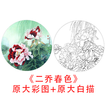 Gongpian peony sketch round fan white drawing draft Li Xiaoming two Qiao spring line drawing copy physical print 846C