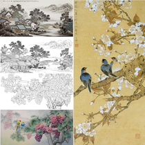 Meticulous painting line drawing draft high-definition four-foot character landscape flower and bird hook line physical printing manuscript combination can be selected