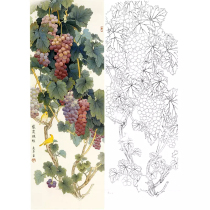 Gongbi painting white sketch background vertical grape Wang Qingsheng physical print draft 50*140 with color map 690T