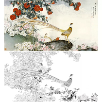 Meticulous painting white drawing draft four feet banner Wang Qingsheng Jinpheasant physical printing draft 66*121 with color picture 684T