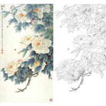 Gongbi painting white sketch background peony vertical Wang Shaoqing 66*123 hook line physical print draft with color map 817T