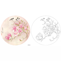 Gongbi painting white sketch background paper hook line physical print draft Liang Yansheng Magnolia sketch 42*42 with color map 316T