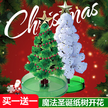 diy handmade making gradient crystallization Lower snow Christmas tree watering will blooming paper tree magic tree small kids toy