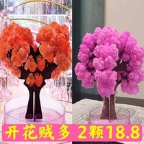 Paper Tree Flowering Christmas Tree Toys Flowering Magic Tree Gives Children Christmas Gifts Creative Gifts Foreign Trade
