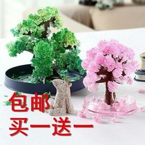 Magic Christmas tree will bloom paper tree wishing cherry tree desktop decompression science experiment educational toy