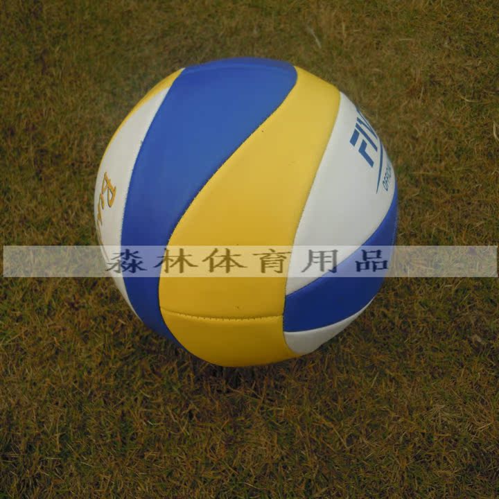 Ballon de volley - Ref 2013570 Image 3