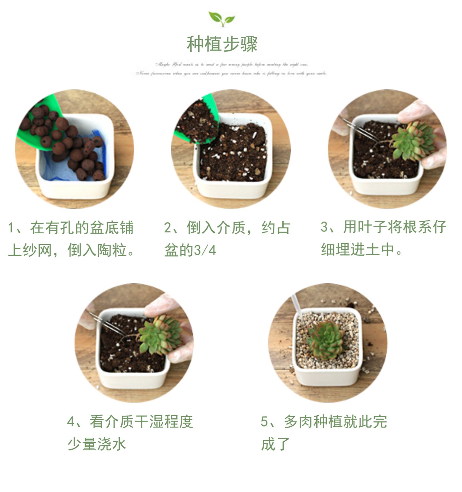 Phụ kiện cây cảnh thu nhỏ đá trang trí nhỏ đồ trang trí làm vườn ba chiều trên đá thấm nước đá cảnh quan cuộn ống nước tưới cây