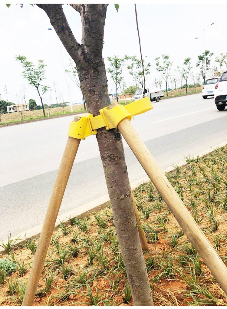 Scenic seedling accessories cup cover bundled green extended support frame hoop hoop wind resistance sleeve garden frame tied