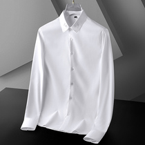 White shirt male professional business dress 2021 Spring and Autumn new long sleeve casual wrinkle anti-wrinkle shirt slim non-iron tide