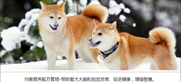Thức ăn cho chó 5kg tuyệt vời 10 kg Công thức tự nhiên Bắc Âu Chihuahua thức ăn cho chó trưởng thành - Chó Staples hạt anf