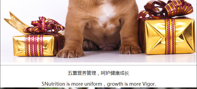 Thức ăn cho chó 5kg tuyệt vời 10 kg Công thức tự nhiên Bắc Âu Chihuahua thức ăn cho chó trưởng thành - Chó Staples hạt anf