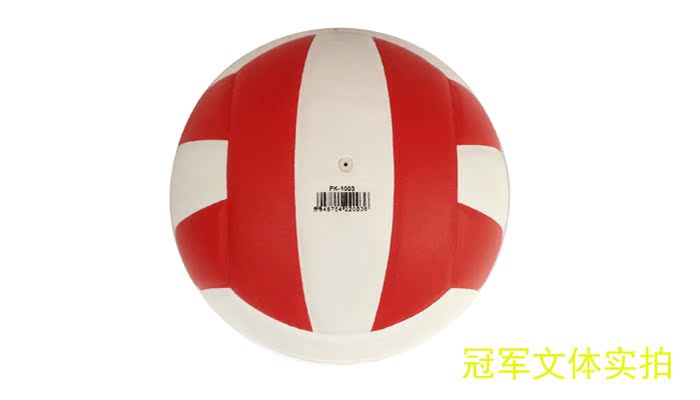 Ballon de volley-ball - Ref 2009052 Image 9