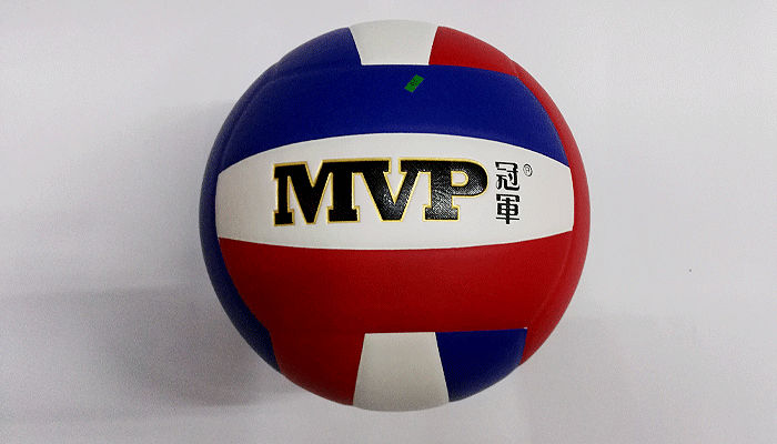 Ballon de volley-ball - Ref 2010538 Image 8