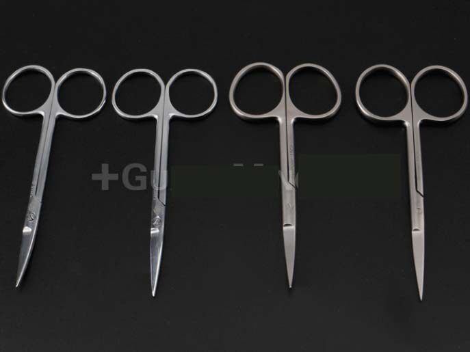 Animals use gold clock to apply a gold clock to scissors fine cut 10 cm small scissors frog fish to anatomize insect cuts