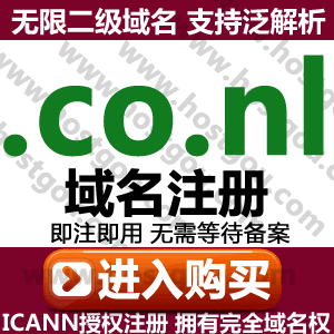 Co nl domain name registration Support pan-resolution unlimited second-level domain meters Foreign trade Netherlands website purchase application