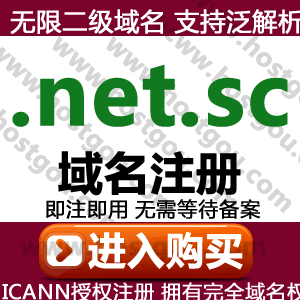 net sc domain name registration supports pan-analysis unlimited second-level domain name meter Seychelles website purchase application